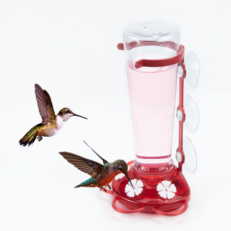 Bird Water Feeders