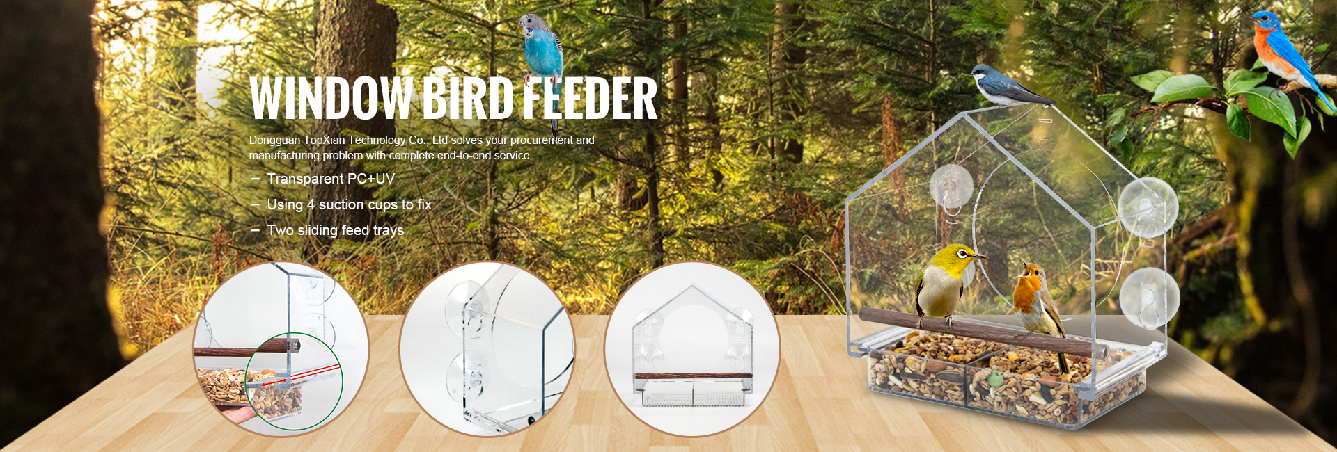 bird feeder banner3