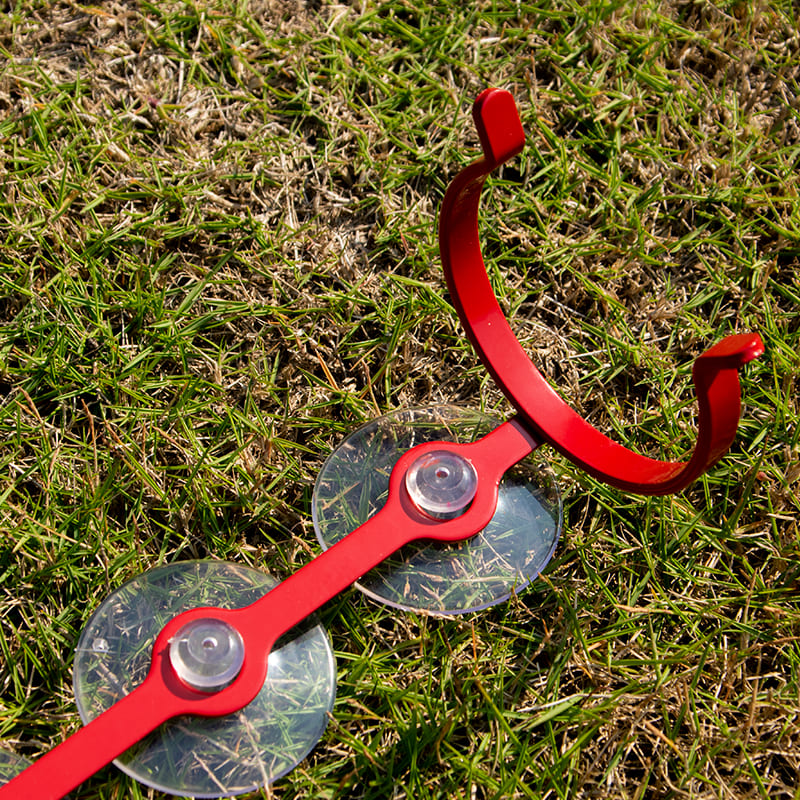 birds choice feeders