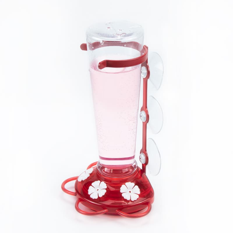 bird feeders with water