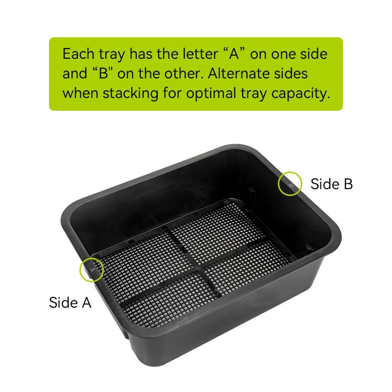 how to get rid of mites in worm bin