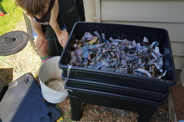 Worm Bin for Composting