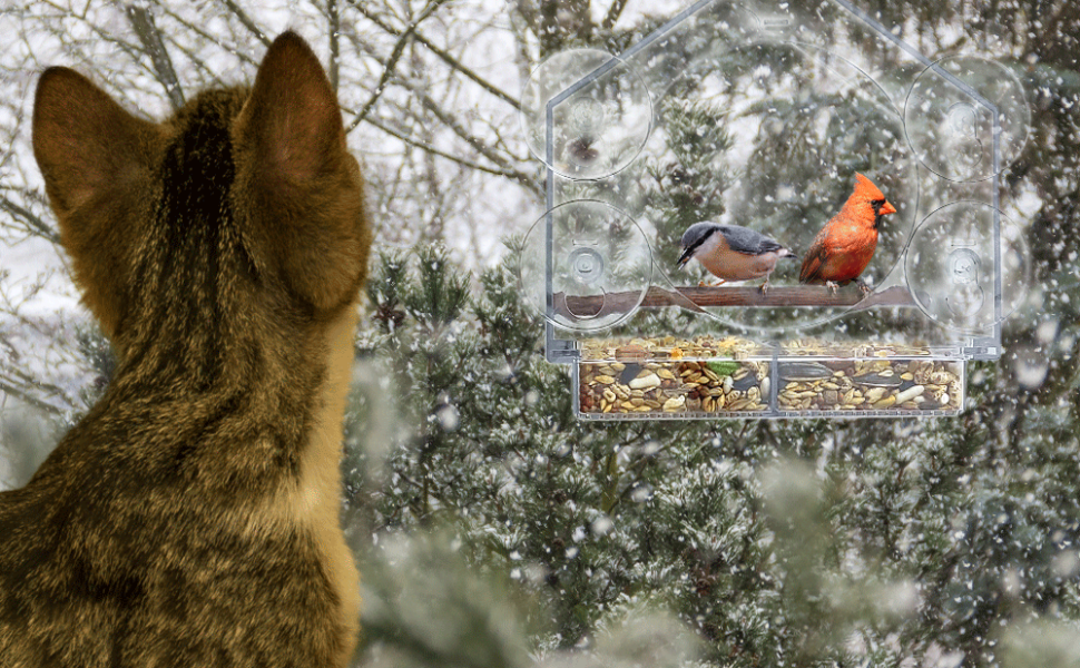 how to keep cats away from bird feeders